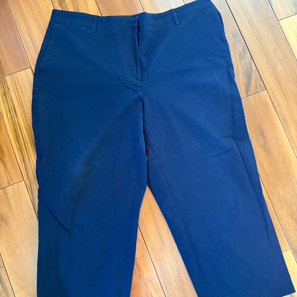 Women's Talbots Chelsea Crop Blue Size 18w
